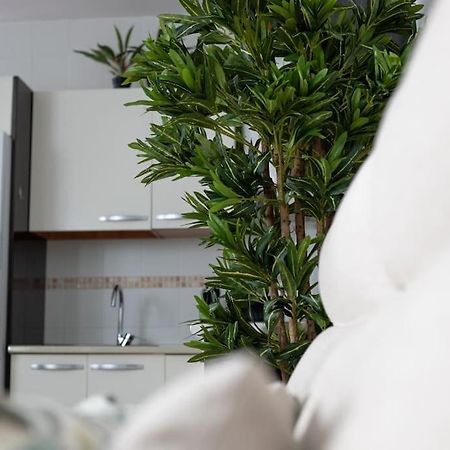 Apartamento Trinidad Aparment Málaga Exterior foto