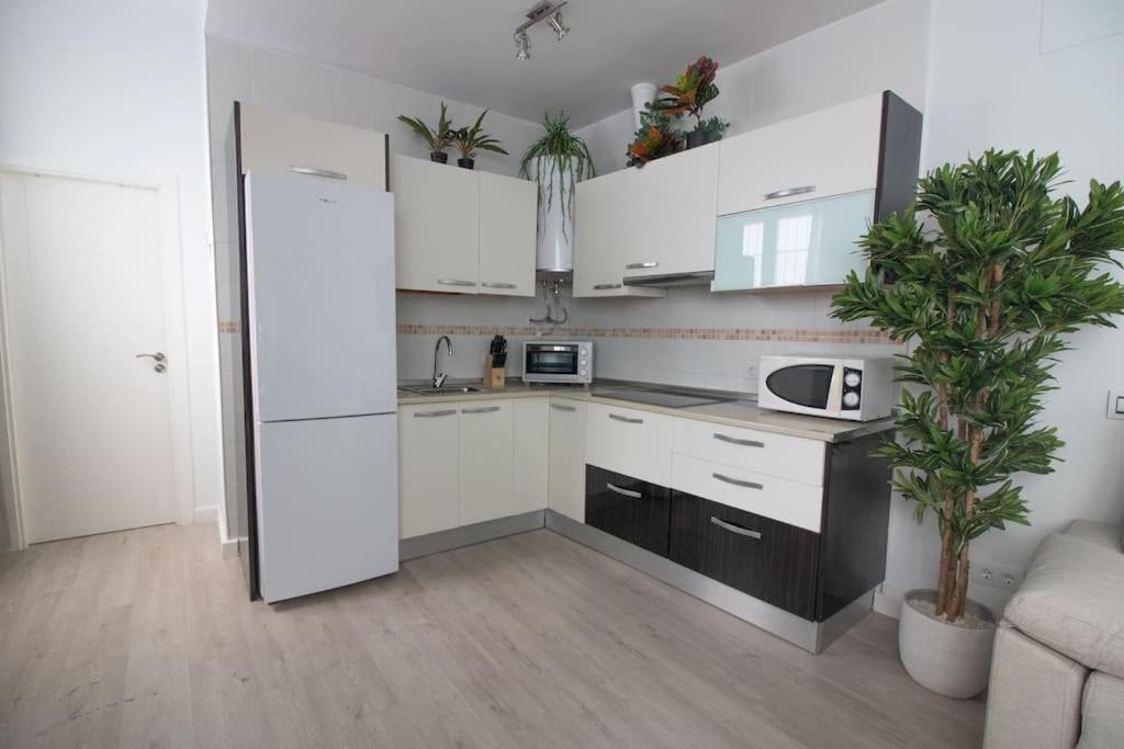 Apartamento Trinidad Aparment Málaga Exterior foto