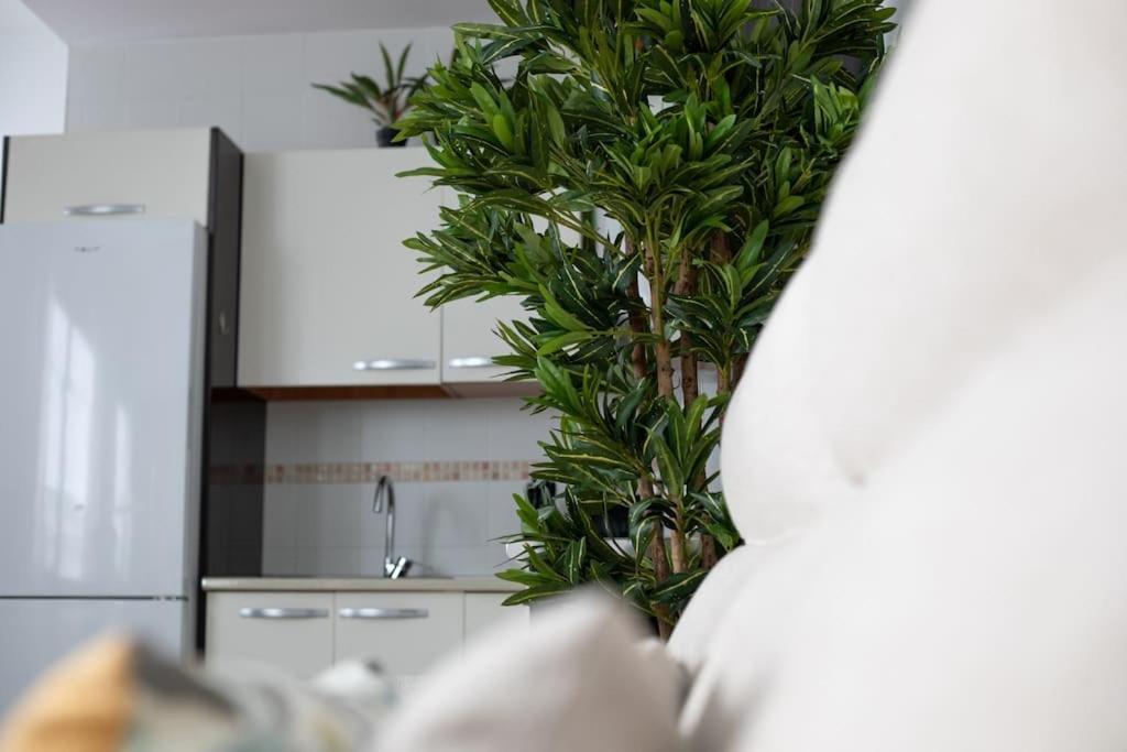 Apartamento Trinidad Aparment Málaga Exterior foto